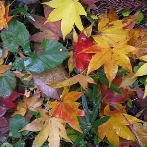 Meet your Posher, Bernadeth